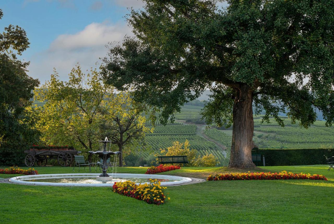 Chateau D'Isenbourg & Spa Rouffach Bagian luar foto