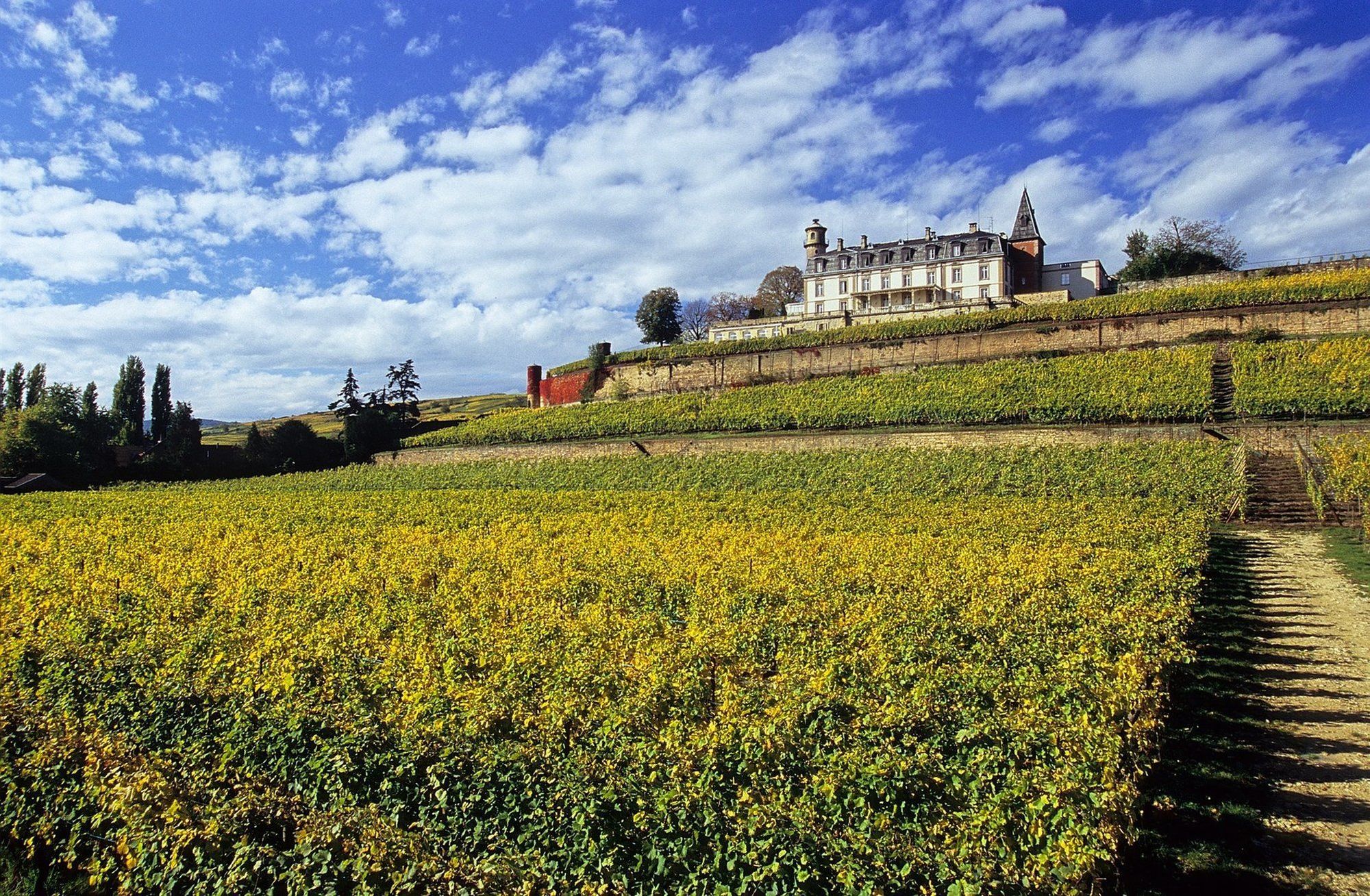 Chateau D'Isenbourg & Spa Rouffach Bagian luar foto